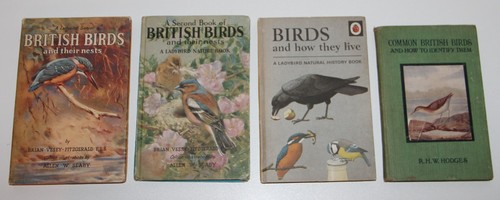 Ladybird british birds nests - british,