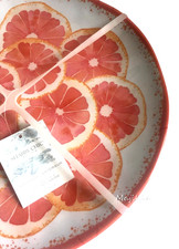 Grapefruit Melamine 11" Dinner Plates Set of 4 Cottage Shabby Outdoor Indoor