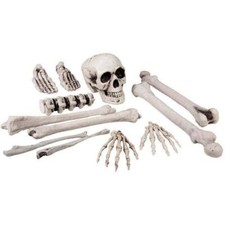 Boland Skull & Bones Set