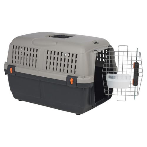 Iata approved dog cat pet - iata,