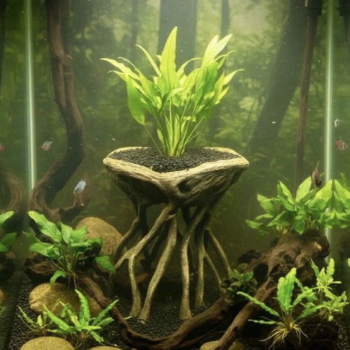 Large root planter - root, for