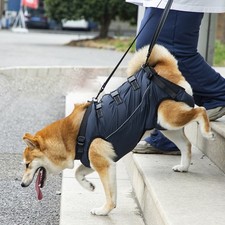 Adjustable lifting straps dog - adjustable,