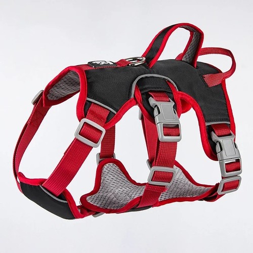 Escape proof dog harness - harness, no
