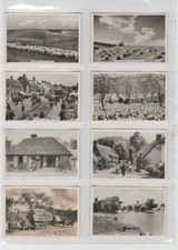Complete Set 48 Pattreiouex