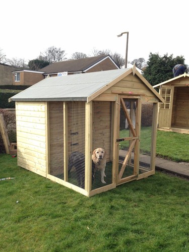 Dog kennel and - kennel,