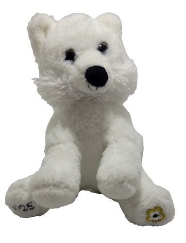White artic fox the - white,