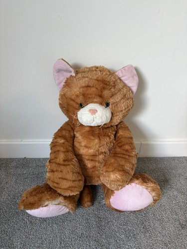 Pets home large ginger - pets,