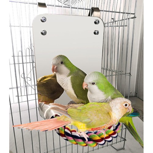 1pc cage accessories - cage,
