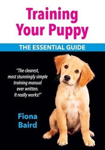Training your puppy - training,