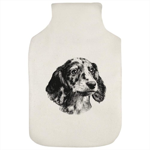 Dachshund puppy portrait - 'dachshund,