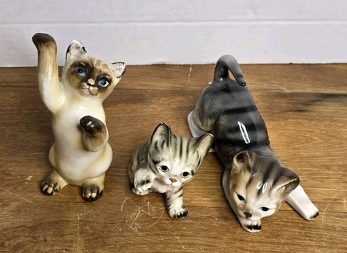 Vtg lot siamese tabby - lot, cat