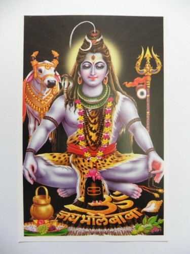 Hindu god picture lord - picture, shiva