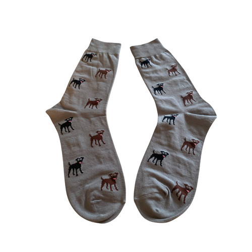 Patterdale dog print - patterdale,