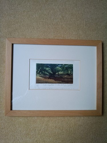 Piers browne signed - browne., numbered