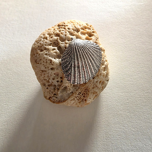 Ilias lalaounis sea shell - ilias,