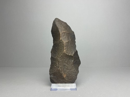 Genuine homo erectus - erectus, tool