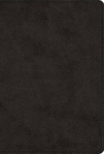 The Greek New Testament