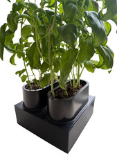 Indoor hydroponics grow system