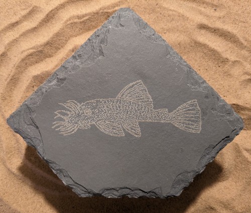 Natural slate laser - natural,