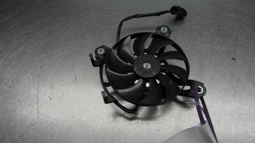 Honda cbr250r mc41 cbr - cbr250r, 250