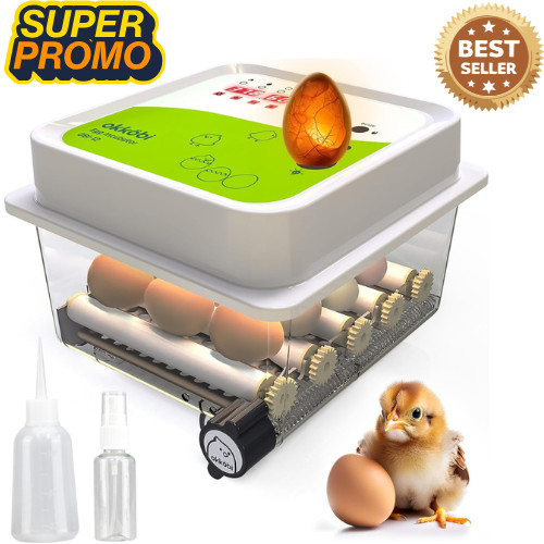 Obi egg incubators - egg, for