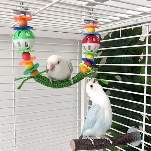 Bird cage hanging parrot - cage,