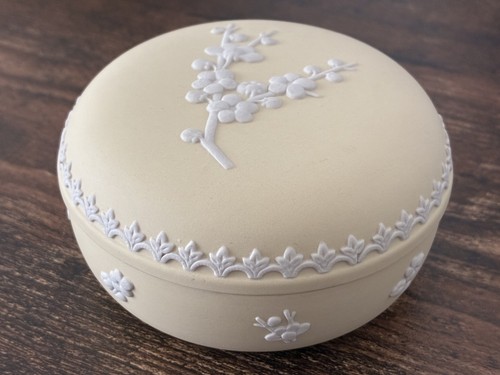 Wedgwood jasperware primrose - jasperware,