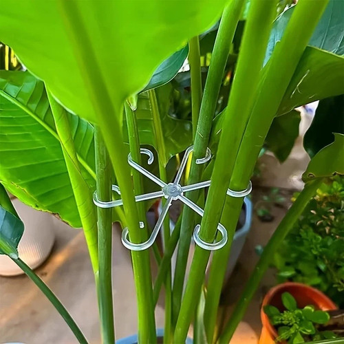 4pcs plant support pole - 4pcs,