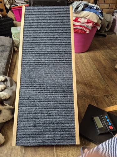 Large dog ramp - large,