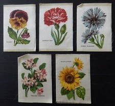 FLOWER SET 2 British American