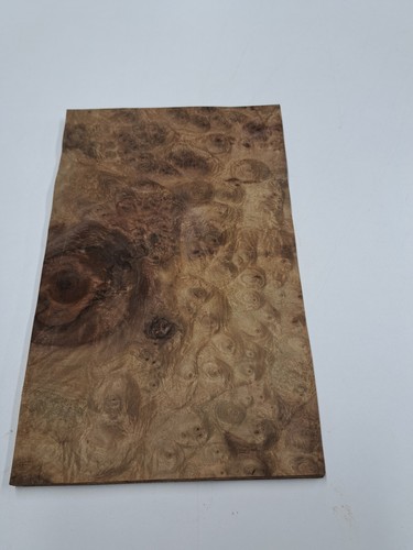 Burr walnut natural wood - burr,