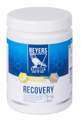 Beyers recovery 600g protein - beyers,