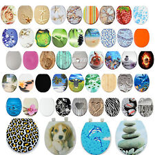 Padded Toilet Seat Novelty