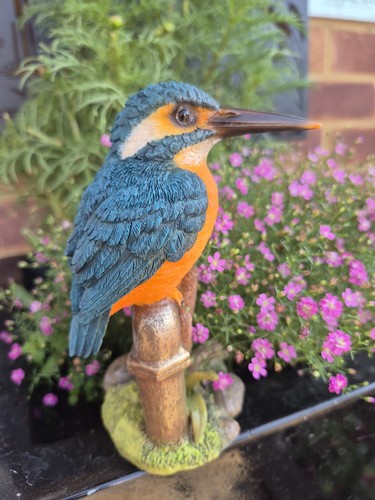 Kingfisher resin garden - resin,