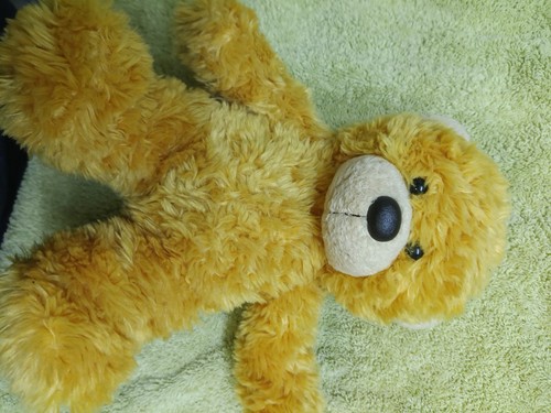 Aurora teddy bear - teddy,