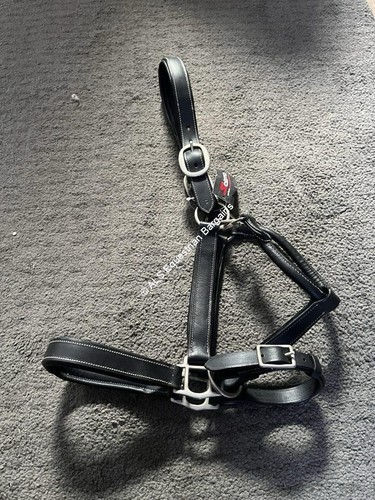 Salamo black leather - leather, padded