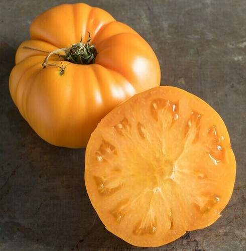 Yellow brandywine tomato - 15,
