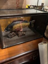 Vintage Taxidermy Style Large CARVED WOODEN Fish in Display Case 52 X 32 X32cms