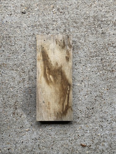 Oak offcut - oak,