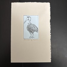 Terry Svat non-etch Imagon