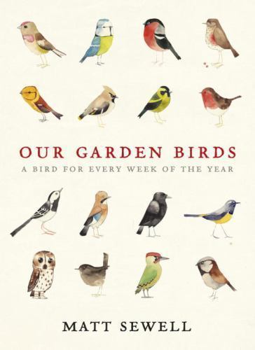 Our garden birds - garden, stunning