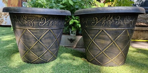 Pair xxl large 46cm - -,