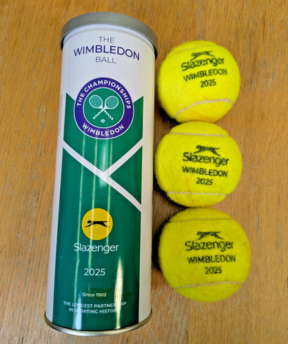Official wimbledon 2025 match - 2025,