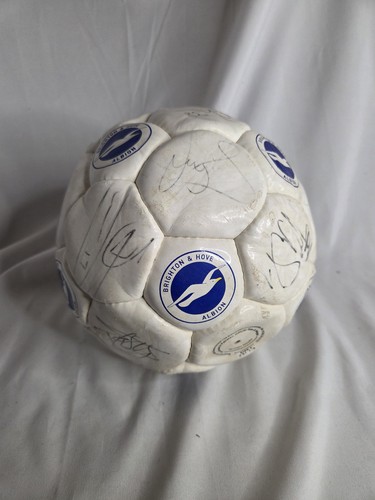 Brighton hove albion - hove, squad