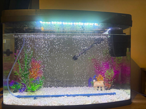 Aquarium with all accessories - aquarium,