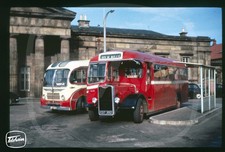 Copy Bus Slide - Highland