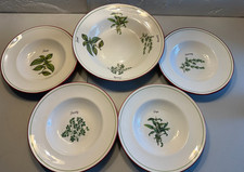 Crate & Barrel Ceramica Italy
