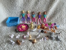 Animal Rescue Hospital