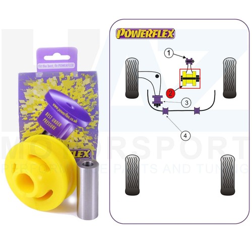 Lower engine mount - mount, large