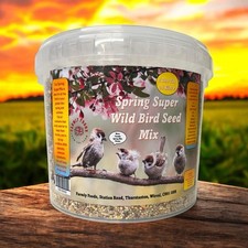 Wild bird seed spring - bird,